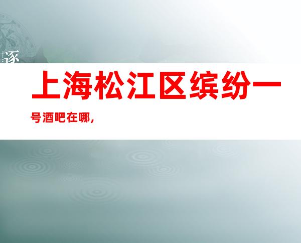 上海松江区缤纷一号酒吧在哪,怎么消费的,好玩吗？