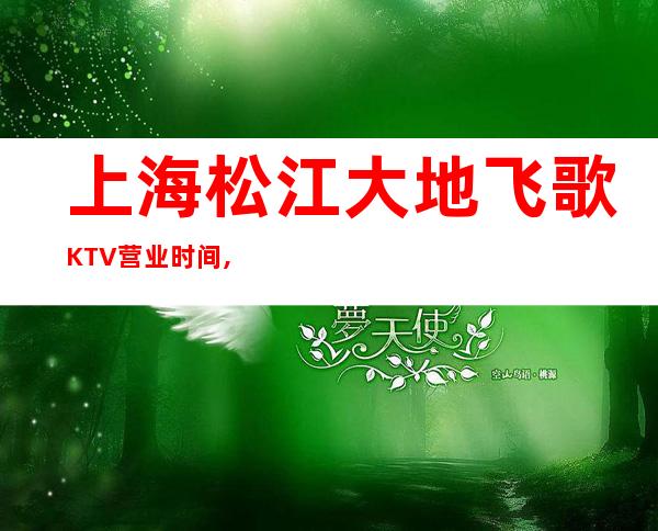 上海松江大地飞歌KTV营业时间,消费价格,联系方式
