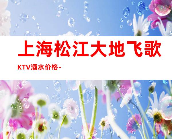 上海松江大地飞歌KTV酒水价格-消费环境-在线预订