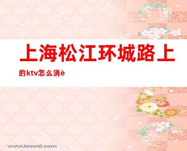 上海松江环城路上的ktv怎么消费()