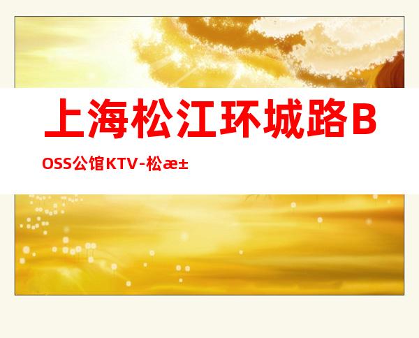 上海松江环城路BOSS公馆KTV-松江区好玩又更高的商务会所