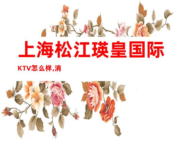 上海松江瑛皇国际KTV怎么样,消费如何,好玩吗？