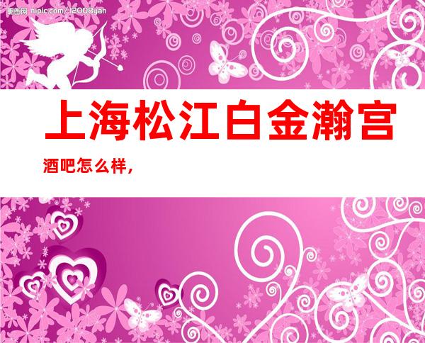 上海松江白金瀚宫酒吧怎么样,几块的,消费价格,好玩吗？