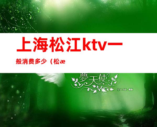 上海松江ktv一般消费多少（松江最好玩的ktv）