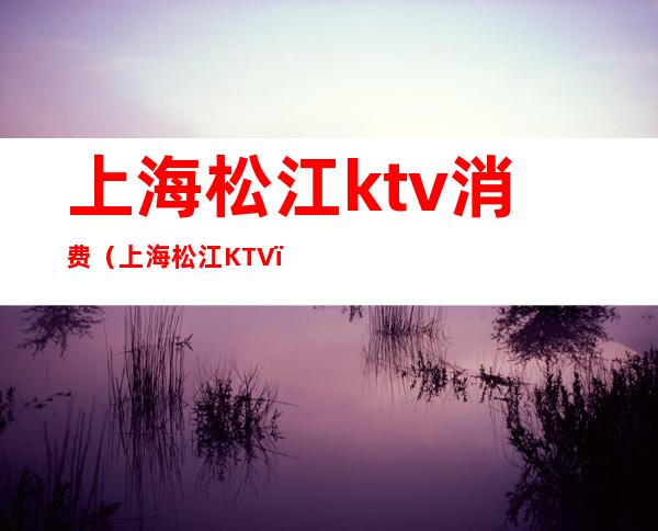 上海松江ktv消费(上海松江KTV)
