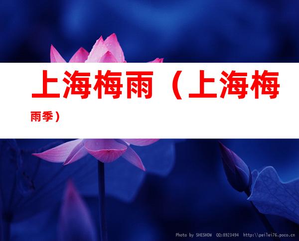 上海梅雨(上海梅雨季)