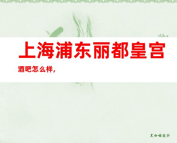 上海浦东丽都皇宫酒吧怎么样,消费如何,好玩吗?