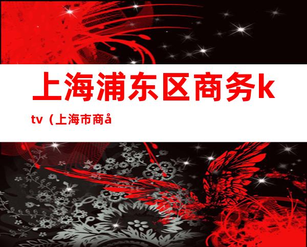 上海浦东区商务ktv(上海市商务)