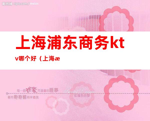 上海浦东商务ktv哪个好(上海浦东商务KTV)