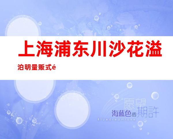 上海浦东川沙花溢泊明量贩式酒吧商务会所在哪里?找谁订房?