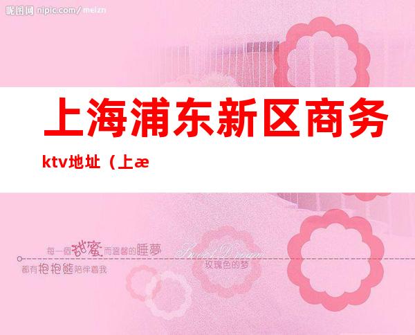 上海浦东新区商务ktv地址(上海浦东新区的ktv)