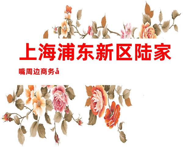 上海浦东新区陆家嘴周边商务夜总会KTV来临招聘无酒水订房任务