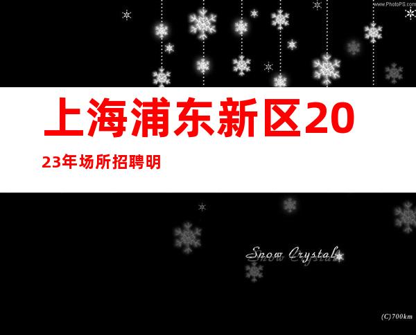 上海浦东新区2023年场所招聘明哲直招的场所招聘哪个好