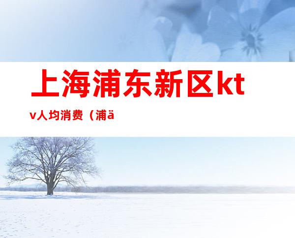 上海浦东新区ktv人均消费(浦东最好的ktv会所)