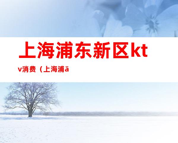 上海浦东新区ktv消费(上海浦东新区的ktv)