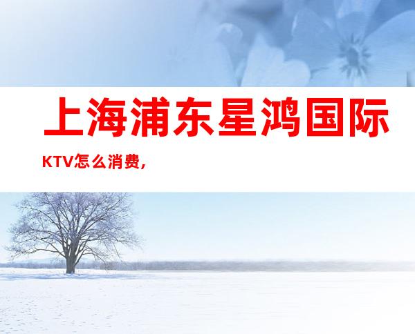 上海浦东星鸿国际KTV怎么消费,抵消价格,联系方式