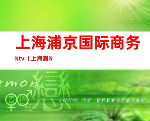 上海浦京国际商务ktv(上海浦京国际商务会所价格)