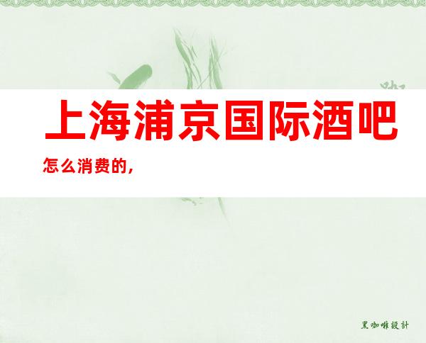 上海浦京国际酒吧怎么消费的,浦东新区更高小酒吧推荐之一