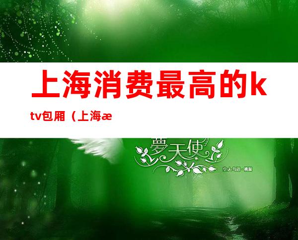 上海消费最高的ktv包厢(上海最有档次的ktv)