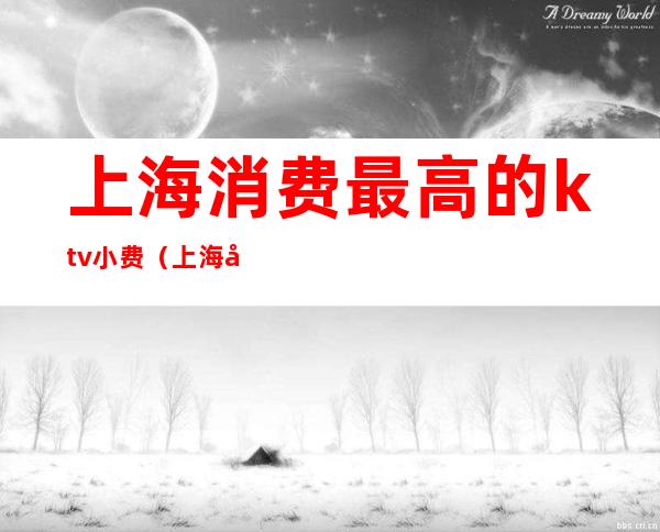 上海消费最高的ktv小费(上海哪个ktv小费最高)