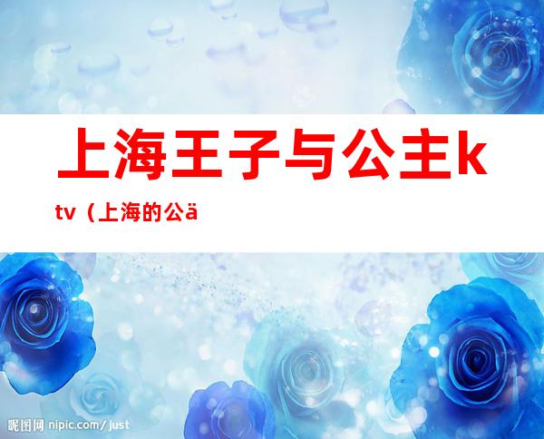 上海王子与公主ktv(上海的公主)