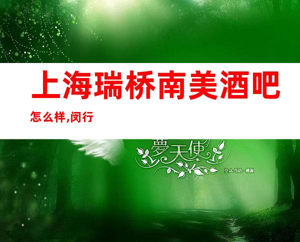 上海瑞桥南美酒吧怎么样,闵行区南美小酒吧会所包间预定