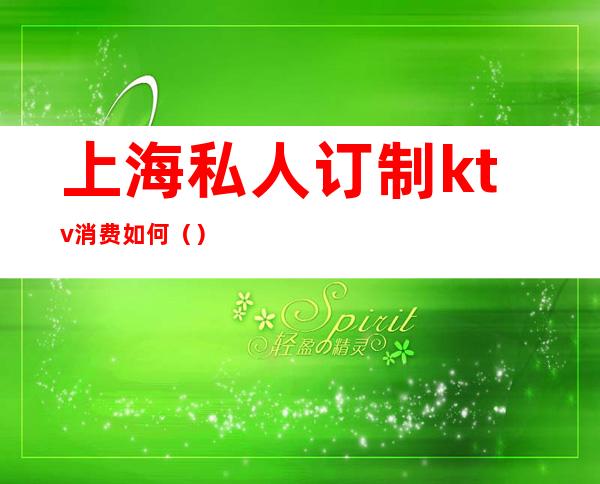 上海私人订制ktv消费如何（）