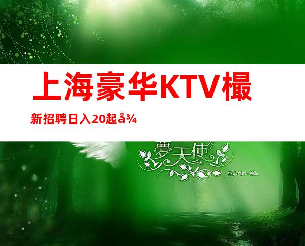 上海豪华KTV樶新招聘日入20起徐汇知名老店