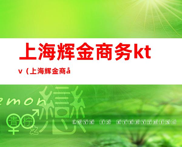上海辉金商务ktv(上海辉金商务会所)