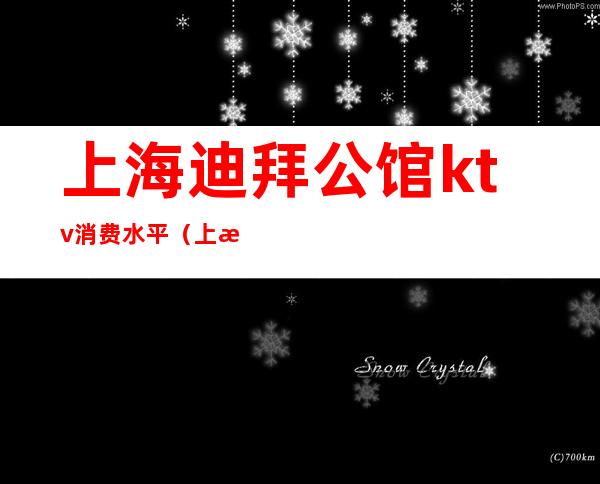 上海迪拜公馆ktv消费水平(上海迪拜国际会所小费多少)