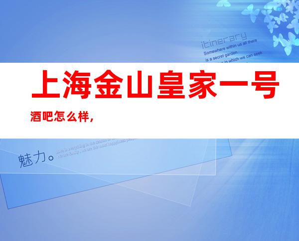 上海金山皇家一号酒吧怎么样,几块的,好玩吗？