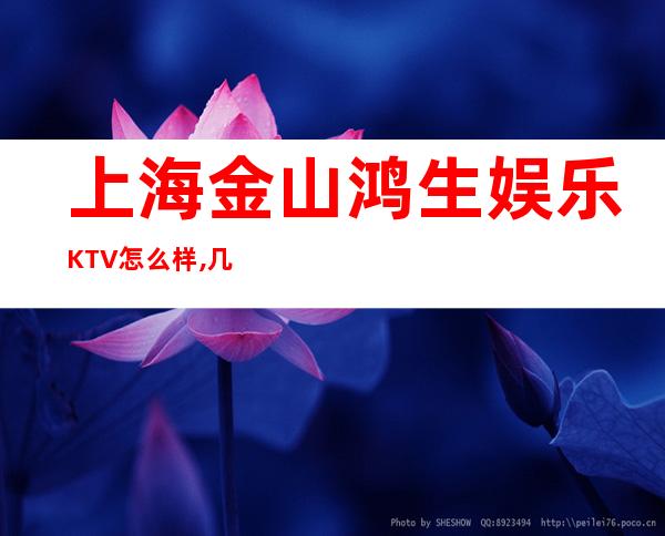 上海金山鸿生娱乐KTV怎么样,几块的,好玩吗?