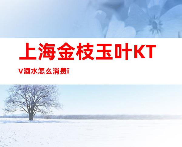 上海金枝玉叶KTV酒水怎么消费，普陀区夜总会特点比较多