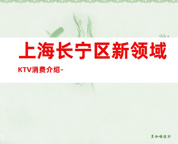 上海长宁区新领域KTV消费介绍-酒水价格-房间环境