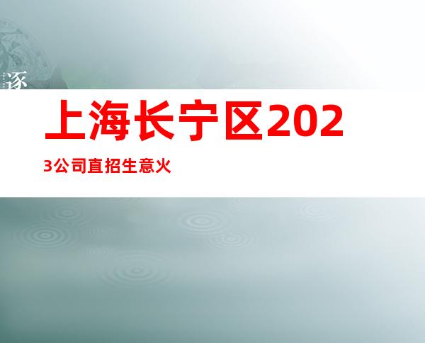 上海长宁区2023公司直招生意火爆二班多薪资【竞争力小】