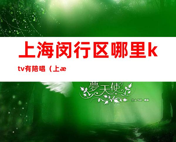 上海闵行区哪里ktv有陪唱(上海有陪酒的KTV)