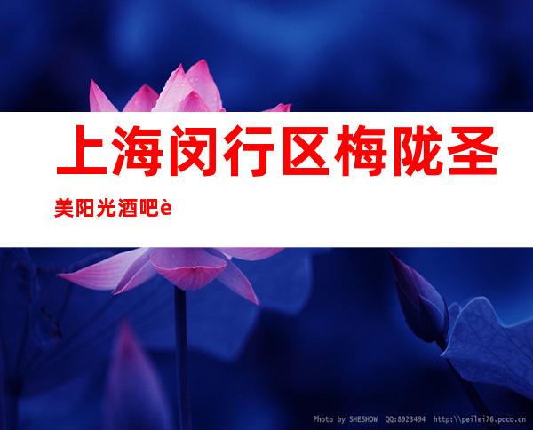 上海闵行区梅陇圣美阳光酒吧豪华的小酒吧会所包间预定