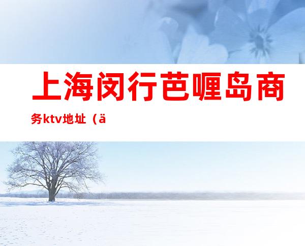 上海闵行芭喱岛商务ktv地址(上海普陀商务KTV)
