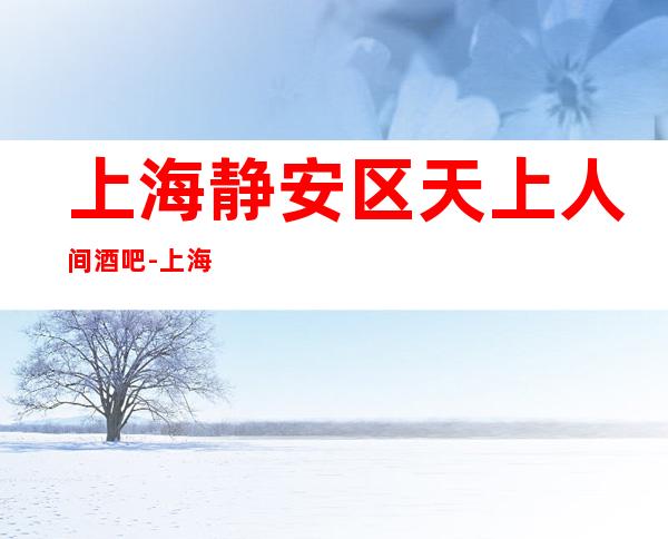 上海静安区天上人间酒吧-上海酒吧预定