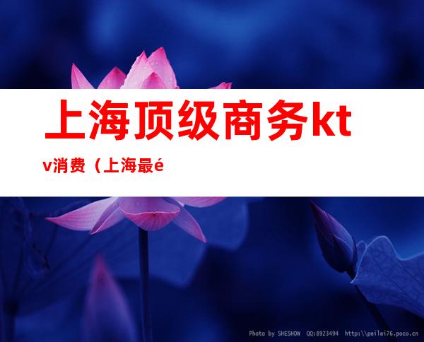 上海顶级商务ktv消费(上海最顶级商务KTV)