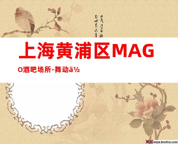 上海黄浦区MAGO酒吧场所-舞动你的心。