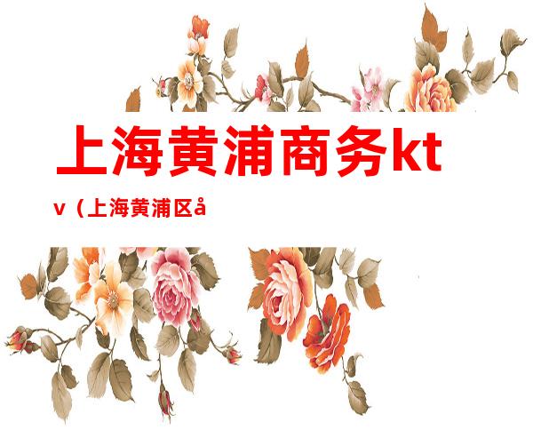 上海黄浦商务ktv(上海黄浦区商务局)