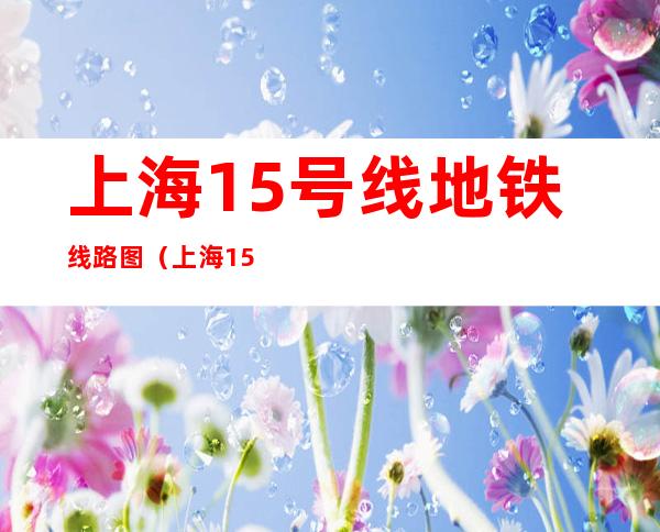 上海15号线地铁线路图(上海15号线地铁线路图换乘线路)