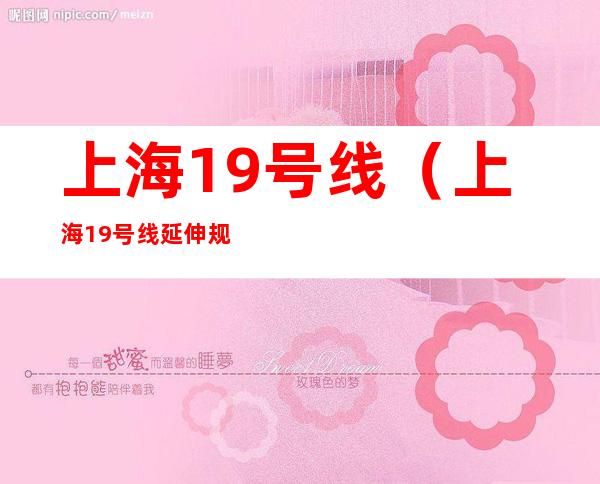 上海19号线（上海19号线延伸规划）