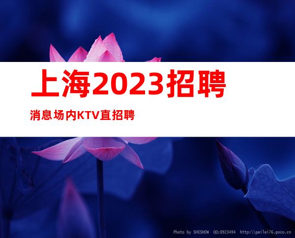 上海2023招聘消息场内KTV直招聘无需ic卡直接入职上班