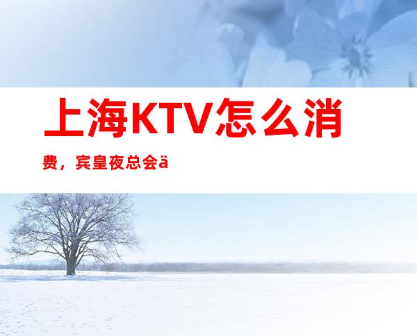 上海KTV怎么消费,宾皇夜总会为客户提供满意服务