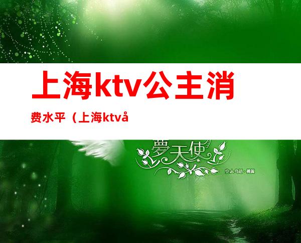 上海ktv公主消费水平(上海ktv公主消费水平高吗)