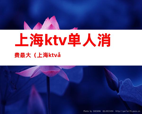 上海ktv单人消费最大（上海ktv单人消费最大多少）