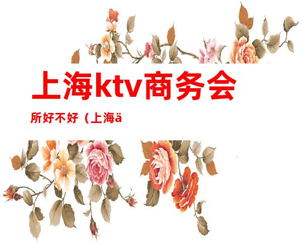 上海ktv商务会所好不好(上海便宜的商务ktv)