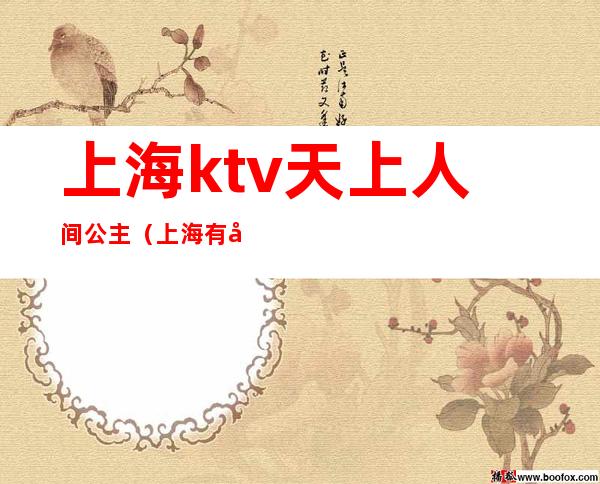 上海ktv天上人间公主(上海有公主的ktv多少钱)